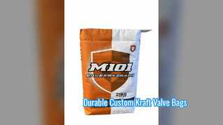 Custom Multicolor Kraft Paper Valve Bags for Industry